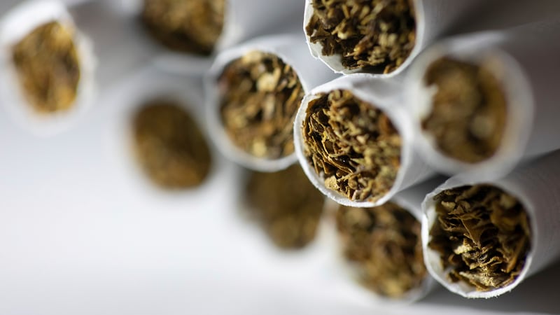 suncoast tobacco best long cut Best Selling Fat Cut Bundle I Visit The Last Of