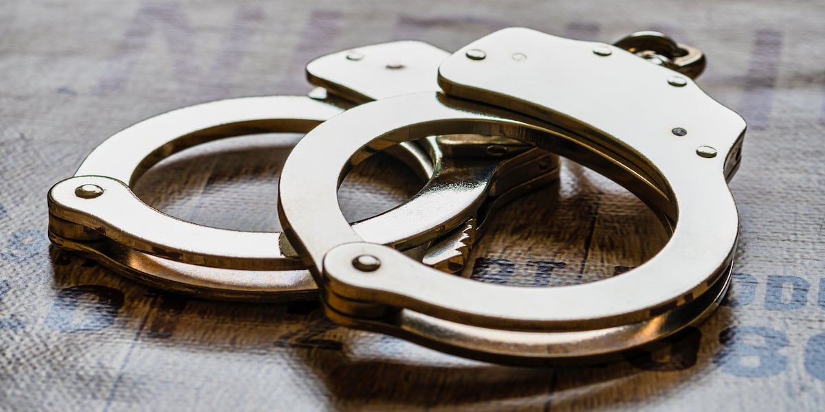 Suspected bank robber’s mom calls 911, turns him in to Hillsborough deputies