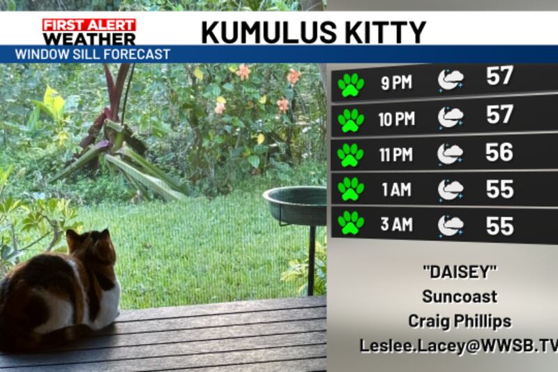 ABC7 WWSB | Sarasota, Florida News and Weather abc7-wwsb-sarasota-florida-news-and-weather