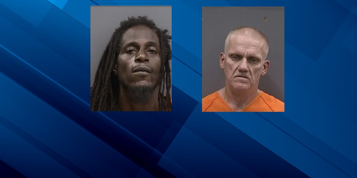Two arrested on suspicion of selling drugs in Hillsborough County