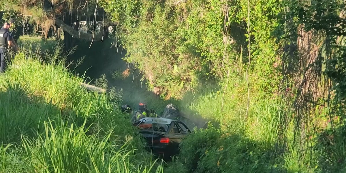 Driver escapes vehicle before car catches fire in Sarasota crash