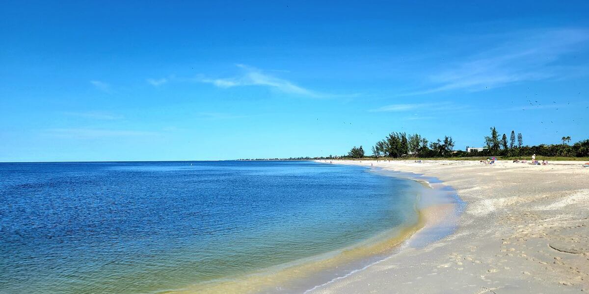 Invest AL97 is likely to become Tropical Storm Rafael next week