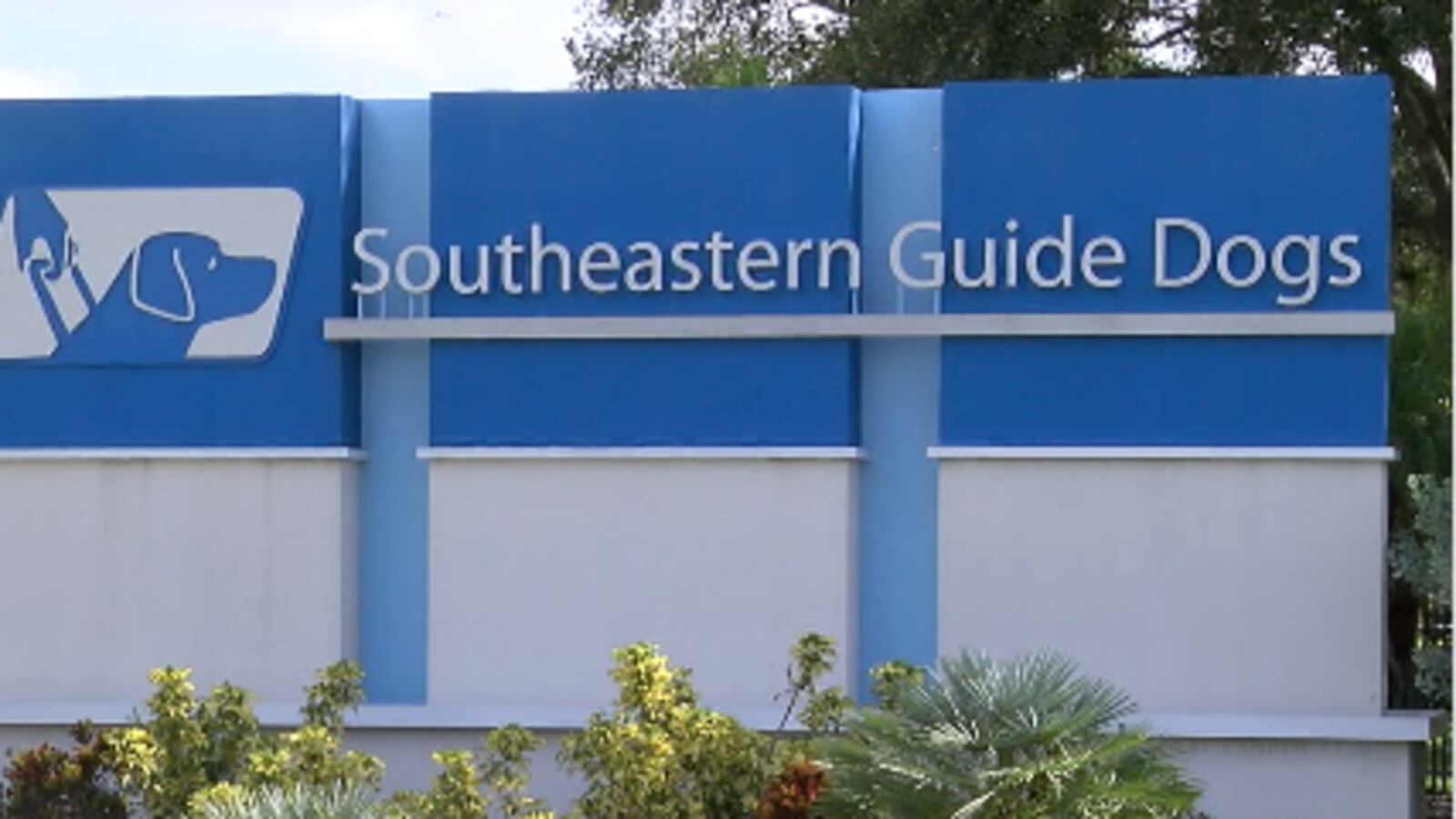 Southeastern Guide Dogs changed the way they are training service dogs