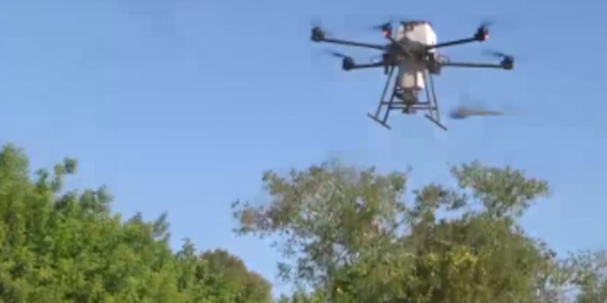 Sarasota County mosquito crews plan larval treatments Tuesday