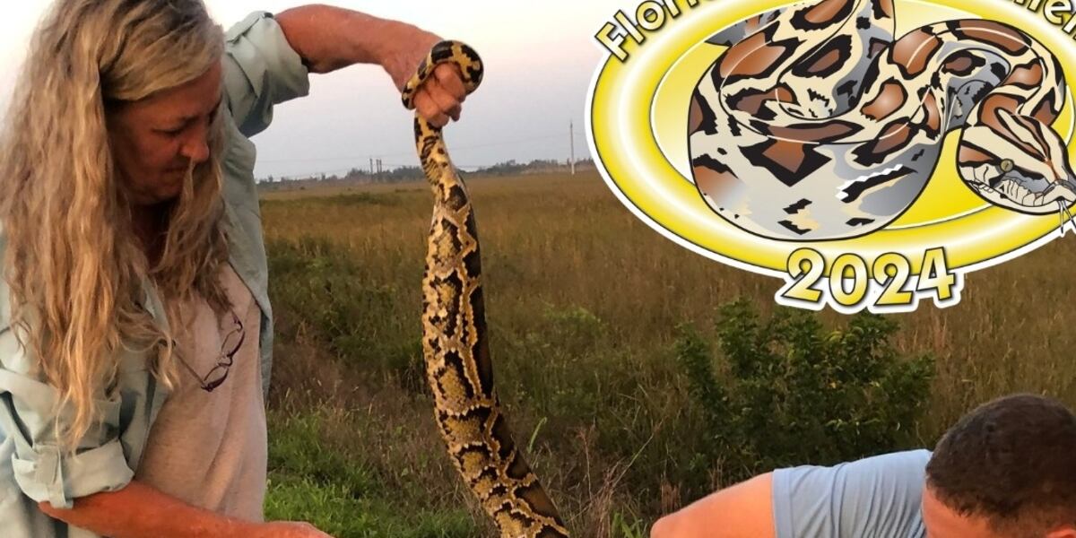 FWC's Python Challenge wraps up for the year