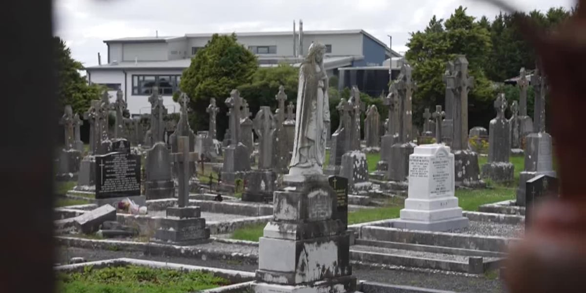 Recovery efforts begin to recover nearly 800 babies believed to be buried in septic tank