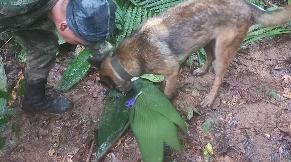 Colombians have been debating various finds in the search and whether they might be linked to...