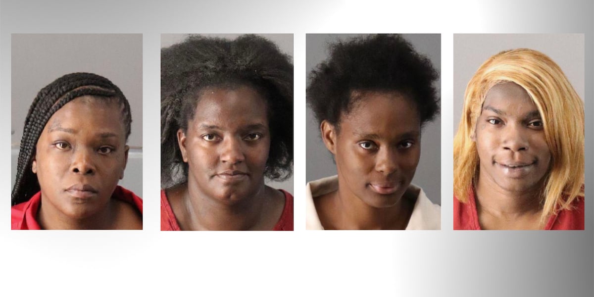 ‘Disgrace to our community’: 4 arrested for allegedly encouraging fight between middle school students