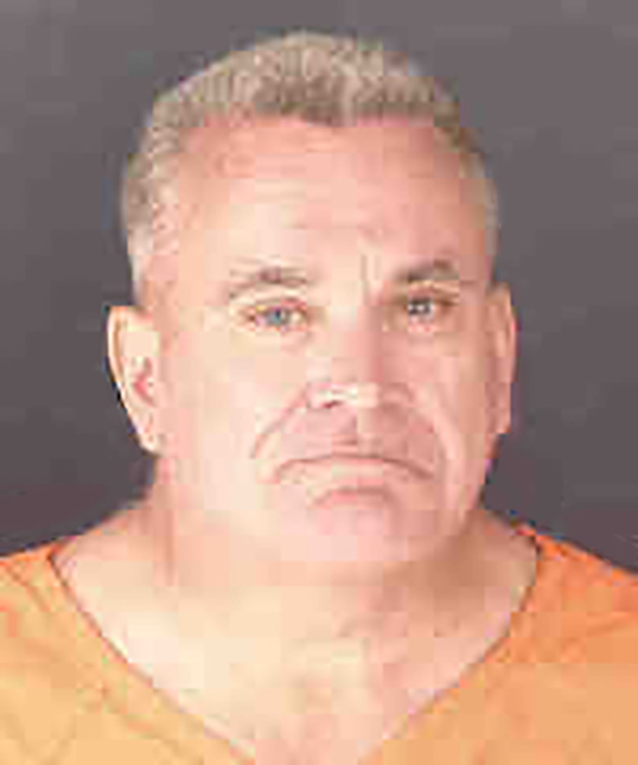 Kenneth Ripich Venice man charged in organized retail theft scheme involving nearly ...