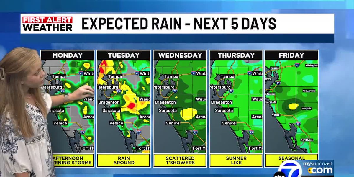 Heat, humidity, spotty storms continue on the Suncoast