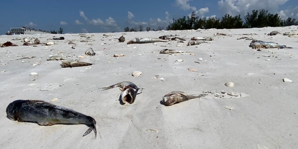 Mf Tide DOH-Sarasota provides Red Tide update