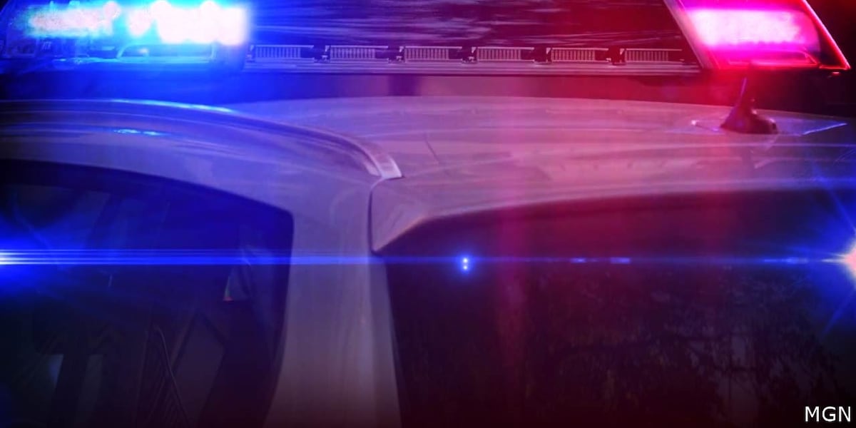 Traffic stop leads to arrest with wanted fugitive in DeSoto County