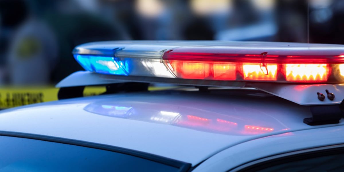 Vehicle fire injures one near Oscar Scherer State Park