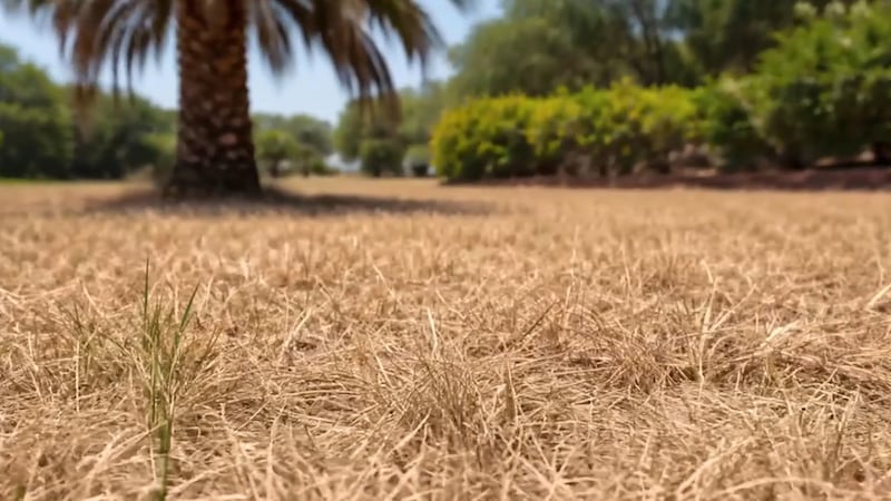 Water restrictions extended through October 2026 in Southwest Florida