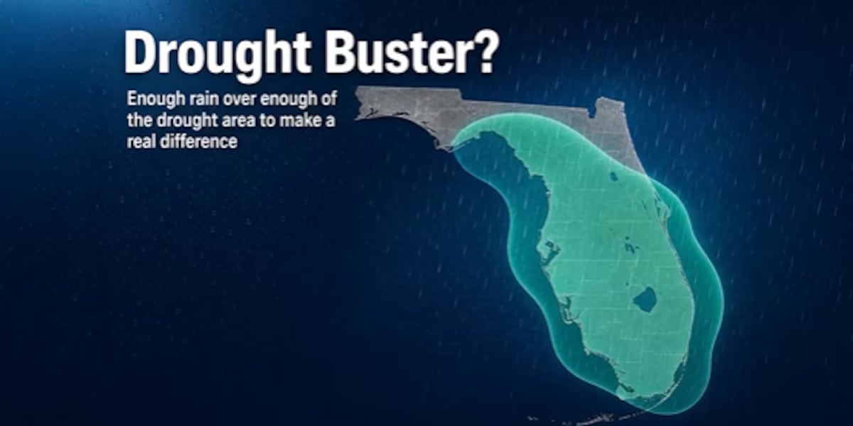 Will coming rain be enough to break Florida’s drought?