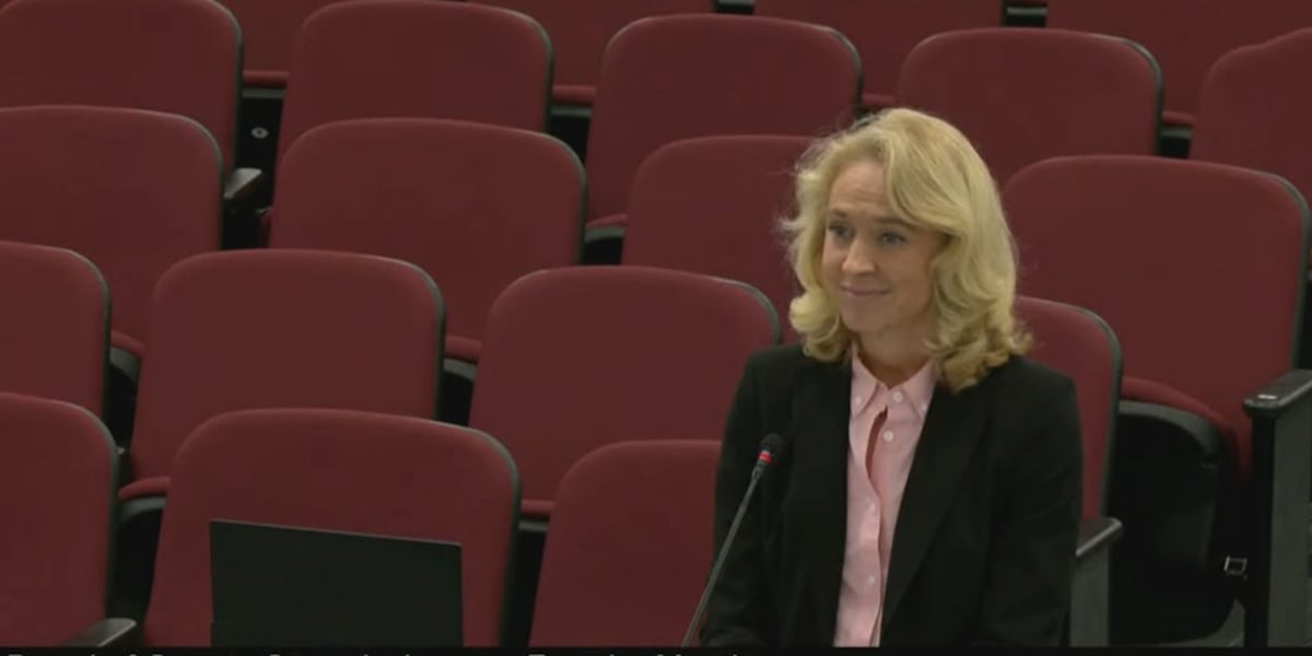 County commission discusses AI pilot program aimed at improving government efficiency