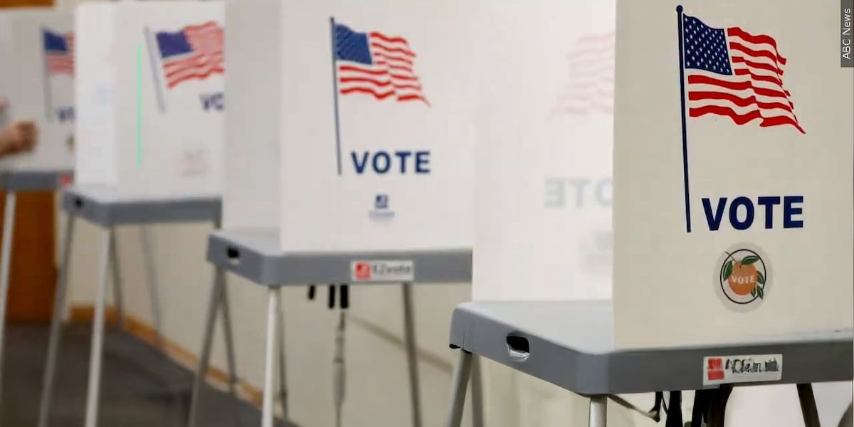 Critical 2024 Election Your Leon County Sample Ballot Guide - hgzmub3