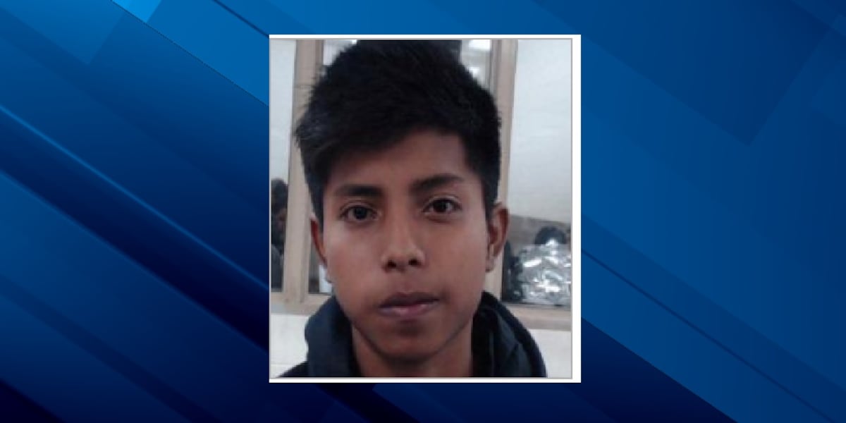 Polk County deputies say hit-and-run suspect has fled the country
