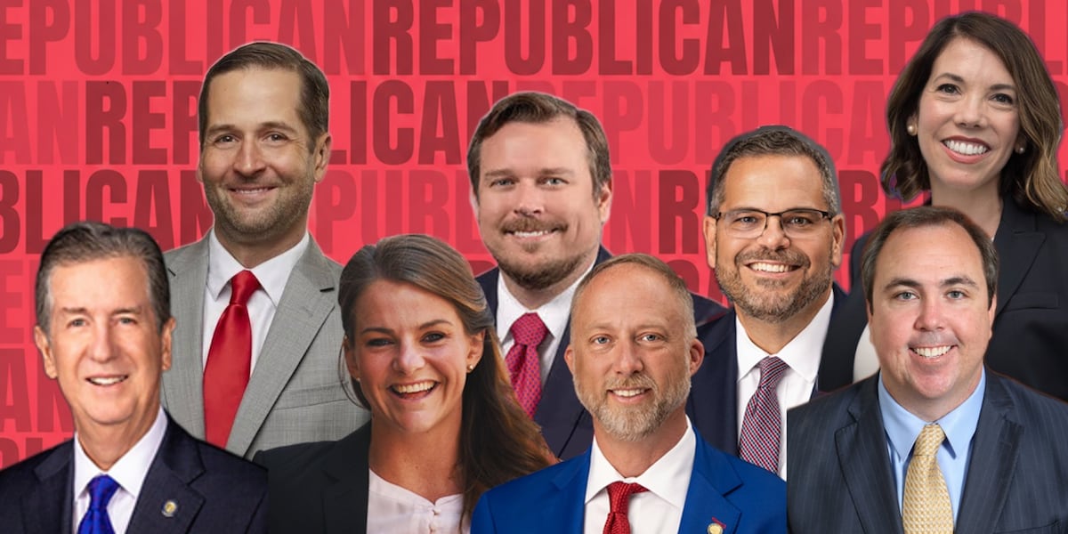 Suncoast lawmakers hollowed out home rule. Do voters care?