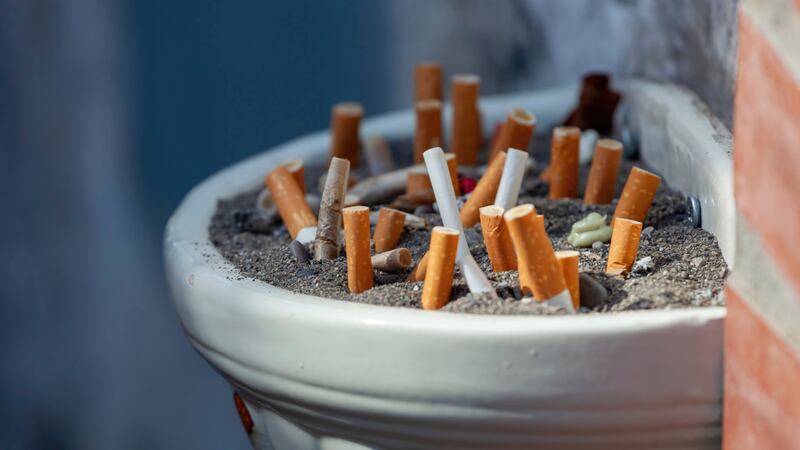 suncoast tobacco - Updated July 2026 - 3355A 9th Ave N, Saint Petersburg, Florida - Tobacco Shops - Phone Number UK passes bill that will