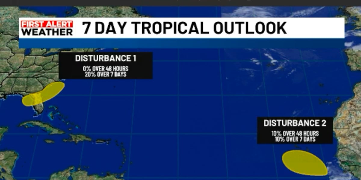 Odds remain low for tropical development in the Gulf. Rain chances still rise.