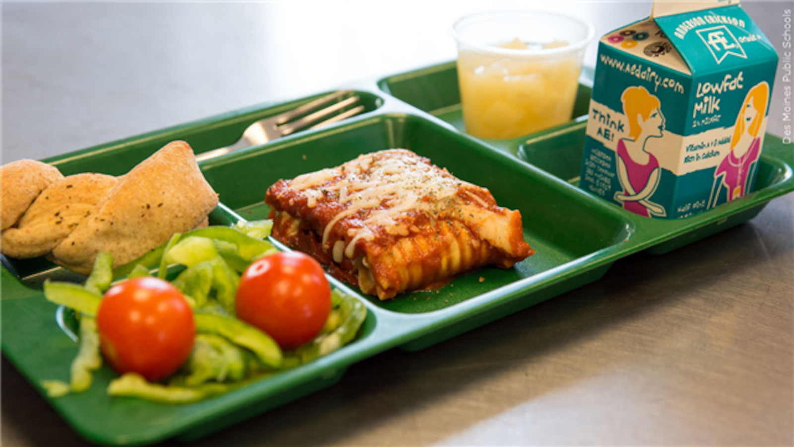 Sarasota County Schools free and reduced lunch application