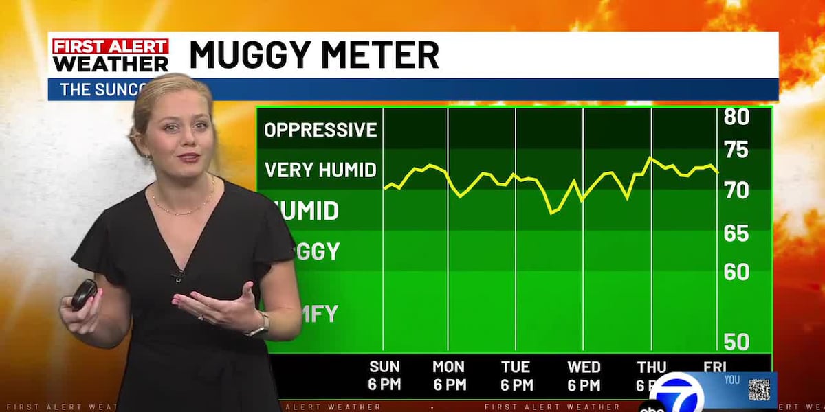Rainy Pattern Continues on the Suncoast