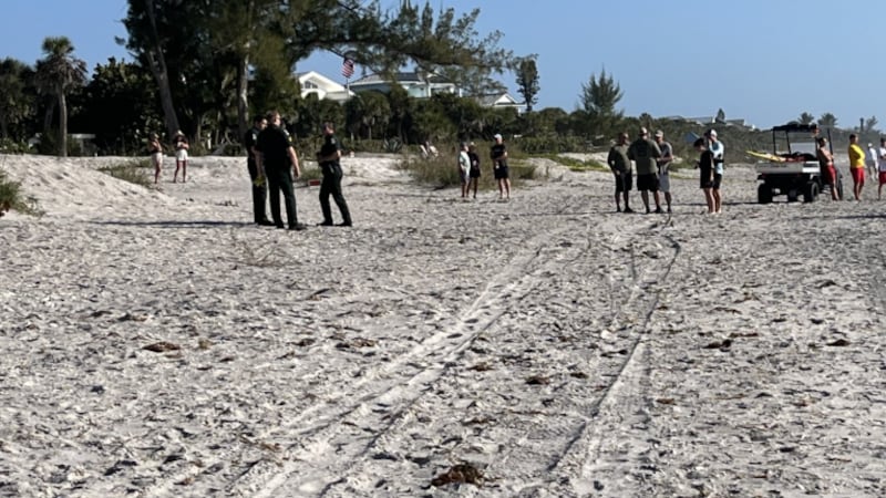 Body of missing diver found