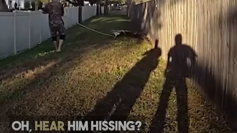 HCSO respond to a gator located near a school bus stop.