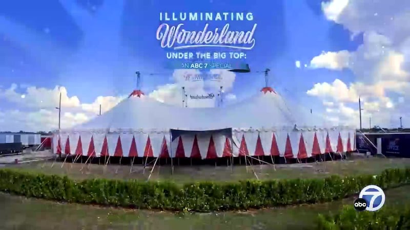 Wonderland: Illuminate. Watch the full special!